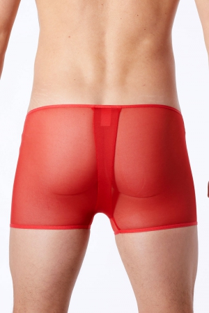 Boxer Cube Rouge